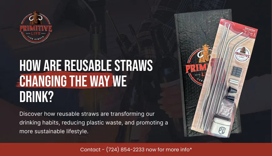 How Are Reusable Straws Changing the Way We Drink?
